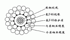 FL-WGSF46-5.60mm氟塑料F46絕緣F40護套雙鋼絲鎧裝承荷探測電纜