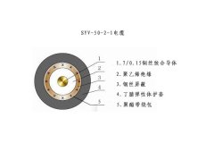 SYV-50-2-1電纜結(jié)構(gòu)圖