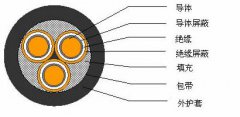 3*2.5，3*3，3*4，3*6，3*10，3*16，3*25屏蔽電纜結(jié)構(gòu)圖