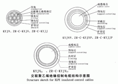 KYJV，KYJVP，KYJV22額定電壓0.6/1kV交聯(lián)聚乙烯絕緣控制電纜