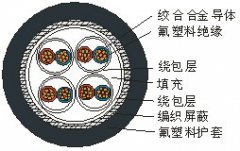 AKFFPXR200熱電偶熱電阻專用高溫屏蔽線