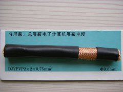 DJYPVP 2*2*0.75 分屏蔽、總屏蔽電子計算機(jī)屏蔽電纜